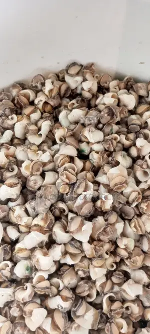 Ngolo (Whelks)