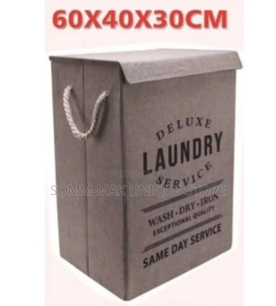 Deluxe Foldable Laundry Box With Cover