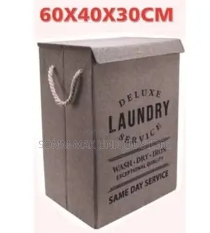 Deluxe Foldable Laundry Box With Cover