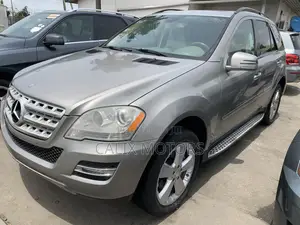 Mercedes-Benz M Class 2010 Silver