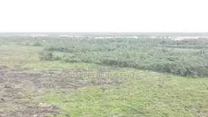 Tap Into This Commercial Plots for Your Own Paradise