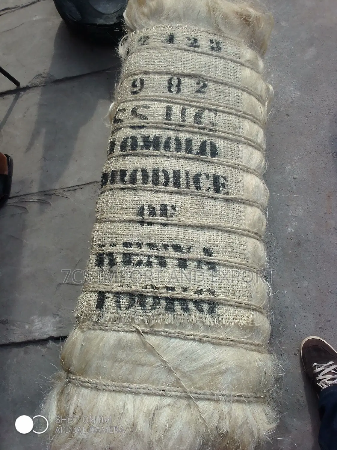 Filler Sponge From Kenya