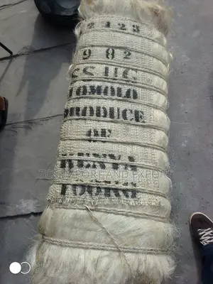 Filler Sponge From Kenya
