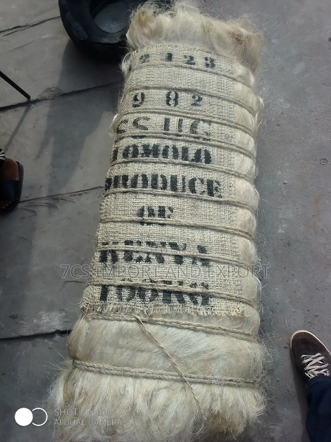 Filler Sponge From Kenya