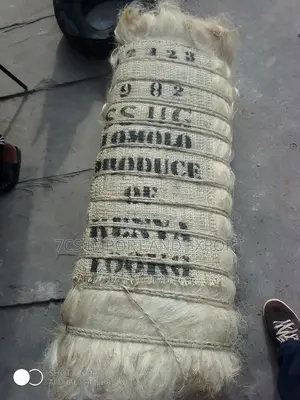 Filler Sponge From Kenya