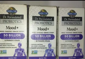 Mood Digestive Immune System