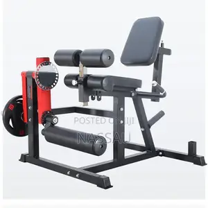 Leg Extension + Leg Curl Machine