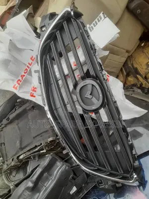 Cx9 2019 Grill
