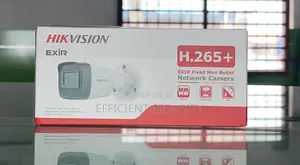 Hikvision Mini Bullet Network Camera 2mp