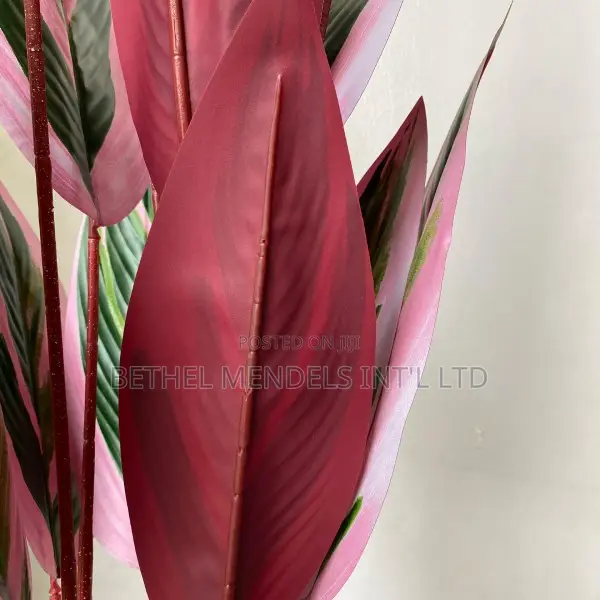 Artificial Plants/Flowers | Interior Plants Wholesale