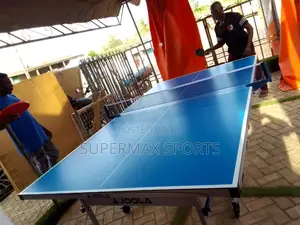 Luxury Ajoola Outdoor Table Tennis