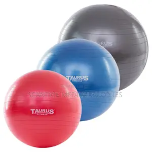 Gym Ball/Exercise Ball
