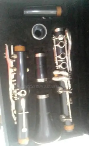 Uk Used Clarinet Very Neat With the Casing.