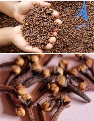 Cloves Stick