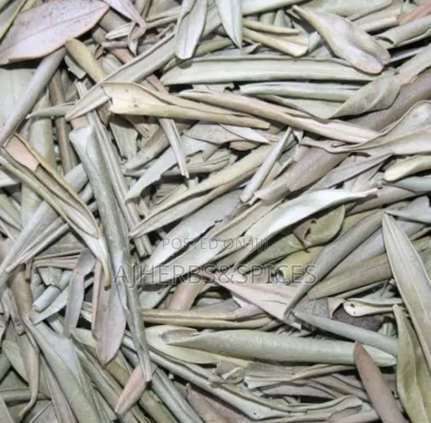 Olive Leaf