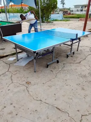 Ajoola SMC Outdoor Table Tennis