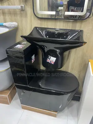 Matt Black Executive WC Set 009