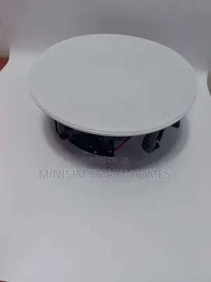 20w Passive Ceiling Speaker