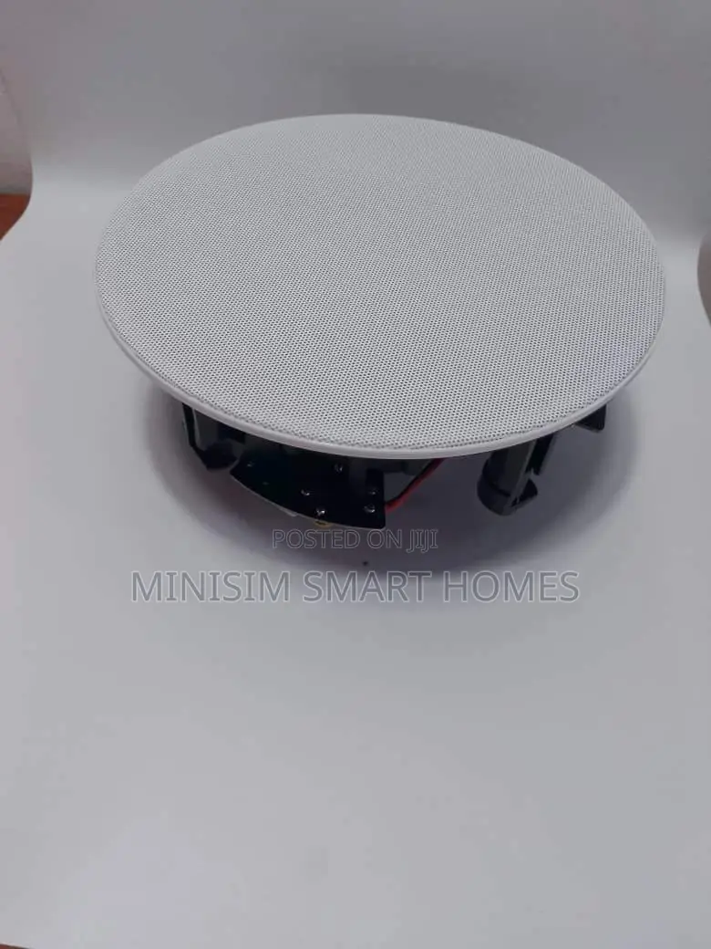 20w Passive Ceiling Speaker