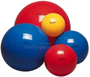 SMS Gym Ball