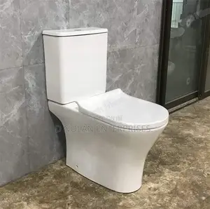 One Piece Water Closet