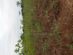 One and Half Plots for Sale at Back of City Land