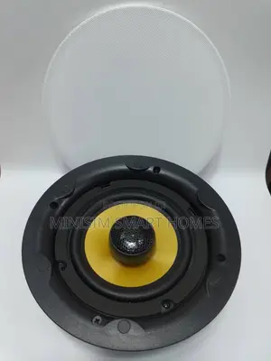 20w Active Ceiling Speaker
