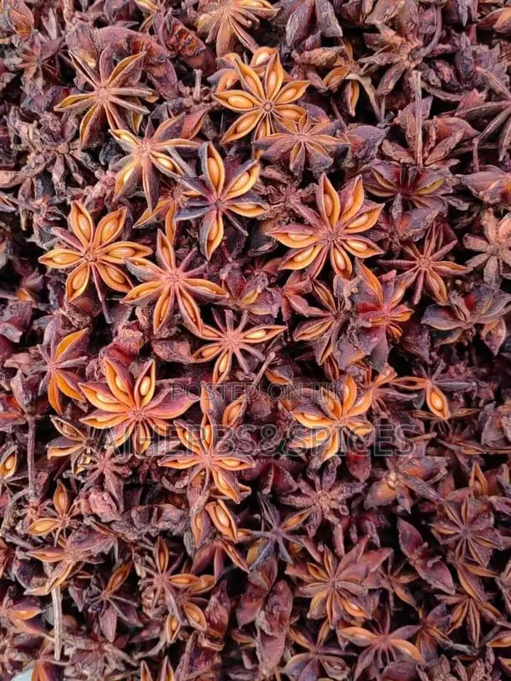 Star Anise