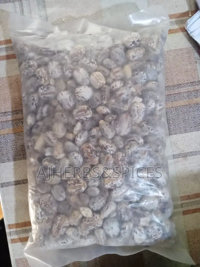 Castor Seeds