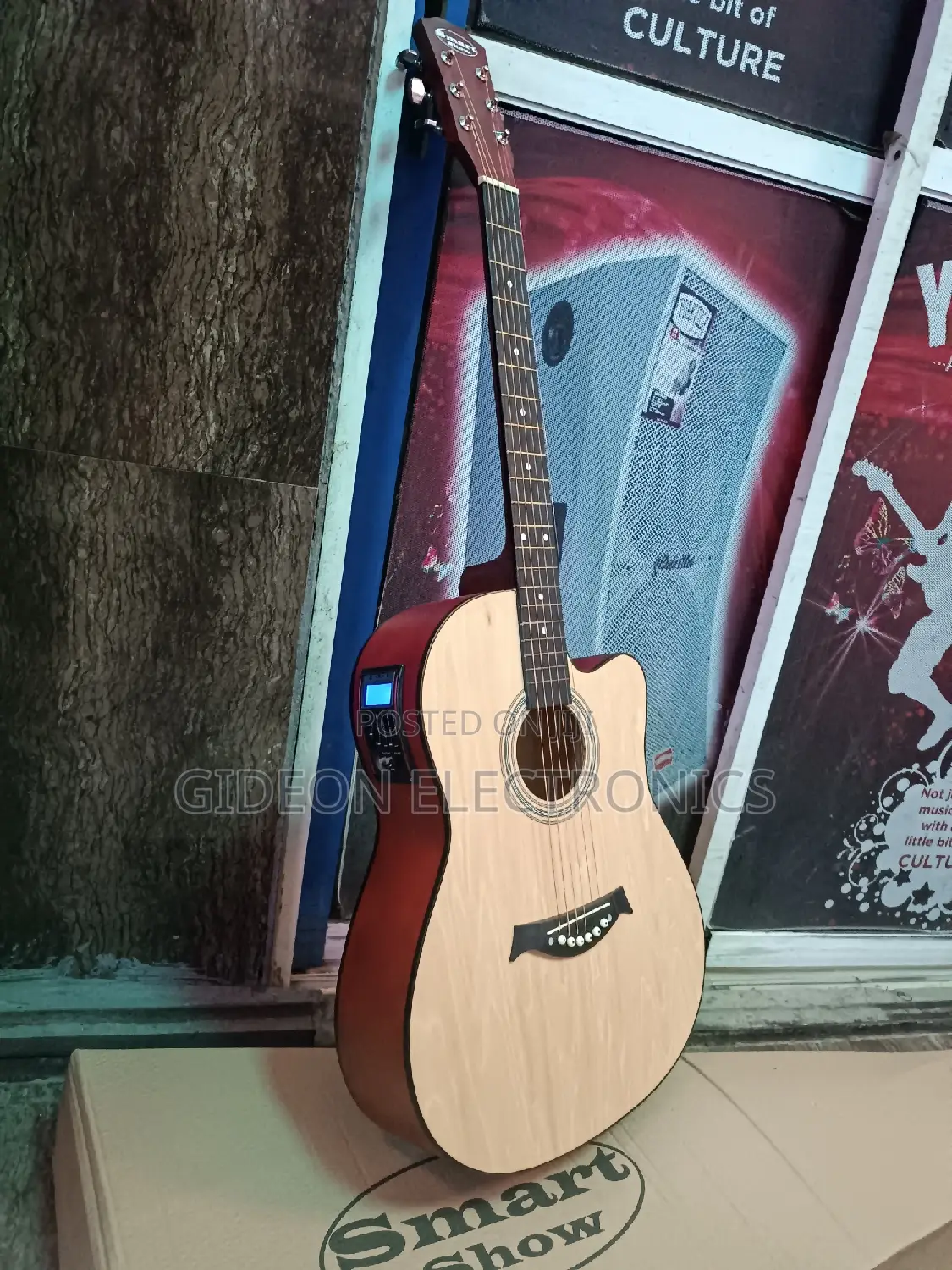 Semi Acoustic Guitar.