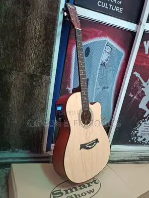 Semi Acoustic Guitar.