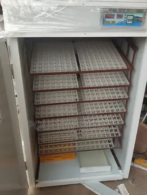 Poultry Egg Incubator