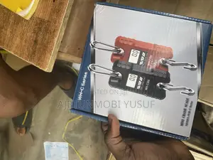 Mini Crane Scale