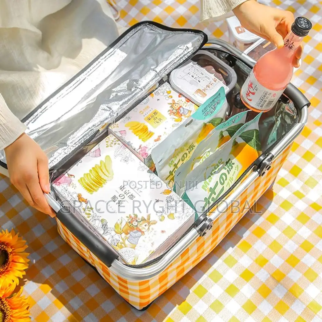 Collapsible Picnic Bag