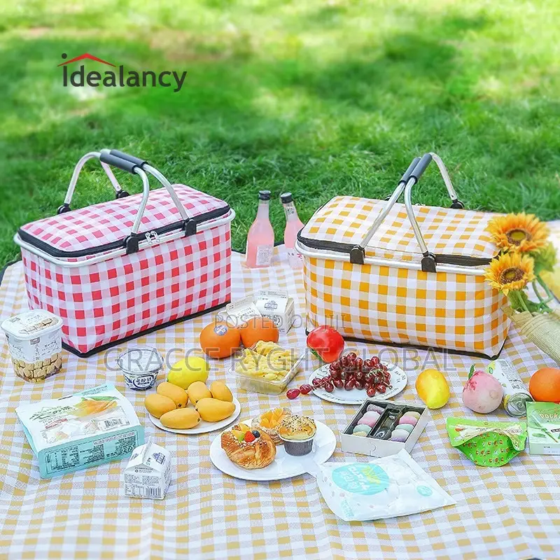 Collapsible Picnic Bag