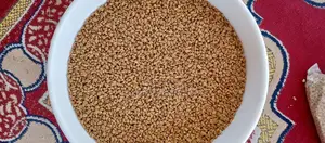 Fenugreek Seeds