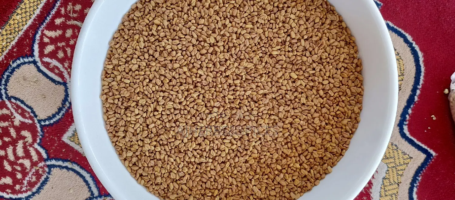 Fenugreek Seeds