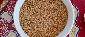 Fenugreek Seeds