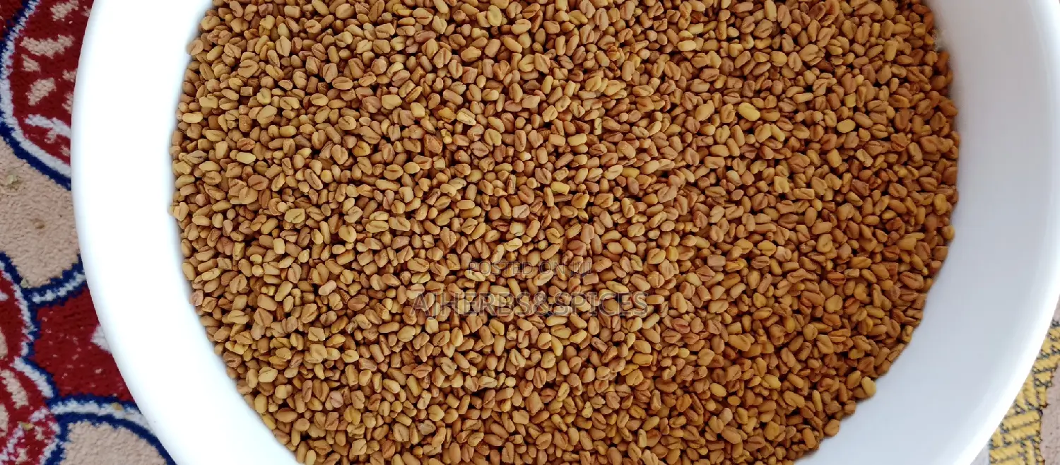 Fenugreek Seeds