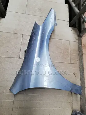 Fender for Solara 05 and 2010