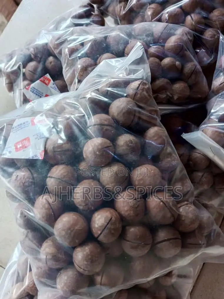 Gorontula Seeds
