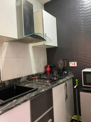 Furnished Mini Flat in Lekki Phase One for rent