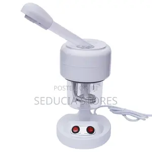 Facial Vapour Steamer (DT-03 Ozone Facial Steamer)