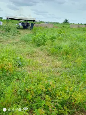 Photo - Dry Land in Ogwashi-Ukwu Aniocha South