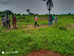 Table Dry Land in Ibeju Lekki