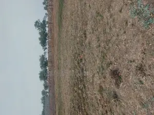 Plots for Sale at Broadview Estate Idu