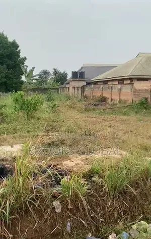 100/100 Land at Okhouromi Off Airport Rd Benin 4 Sale