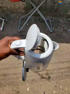 Electric Cordless Fast Boiler