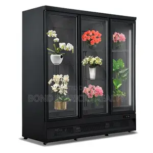3 Doors Chiller Refrigerator Display