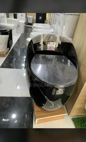Shinny Black WC With Inbuilt Tank